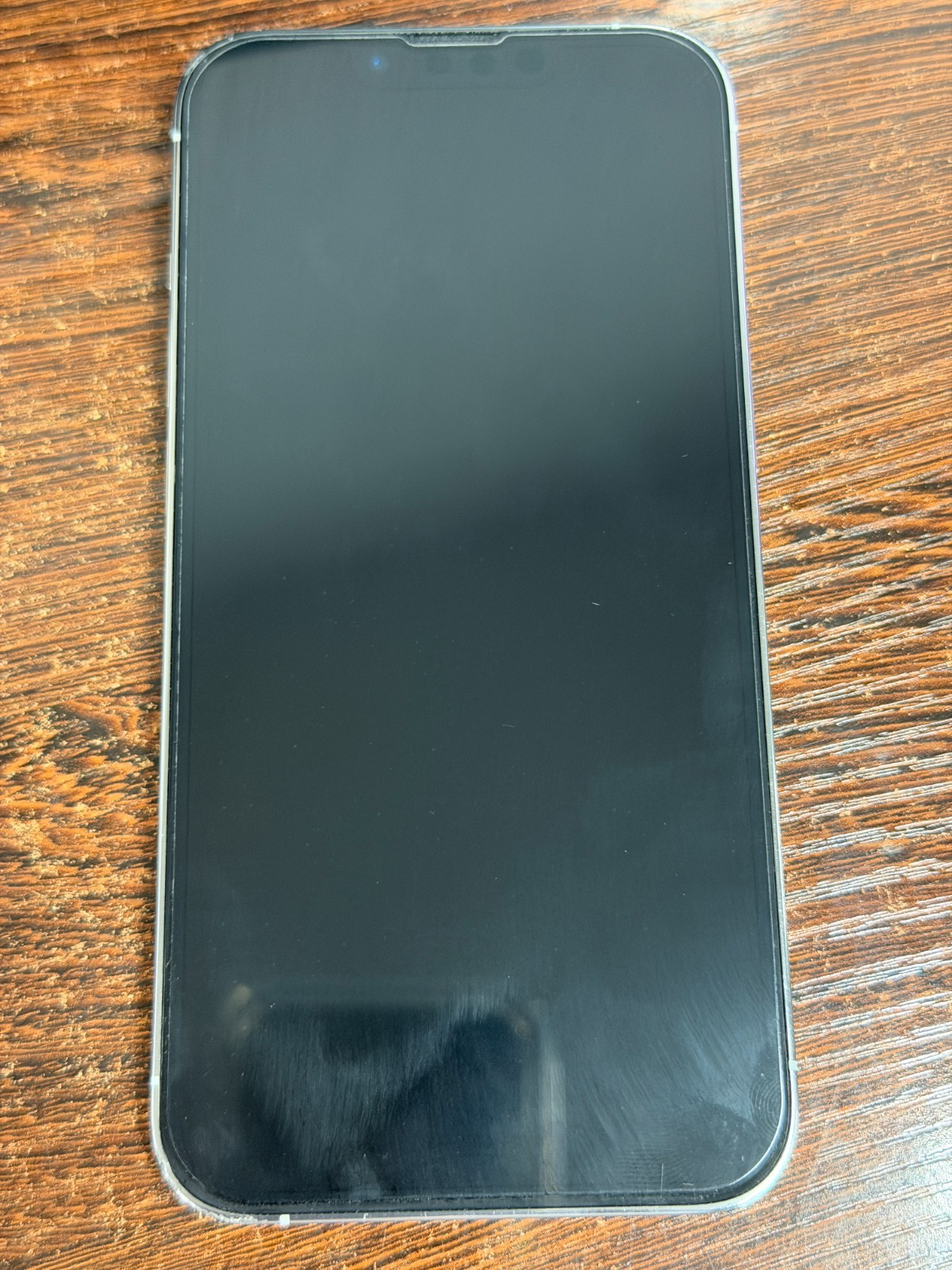 UNLOCKED Apple iPhone 13 Pro - 128GB Silver - 82% Batt - Great Used Condition